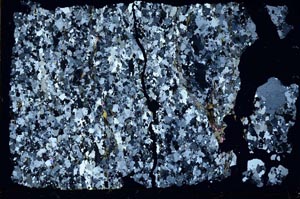 Cross Polarized, S48341