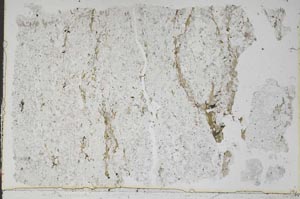 Plane Polarized, S48341