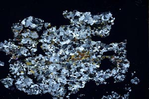 Cross Polarized, S48342