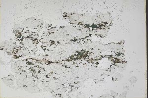 Plane Polarized, S48342