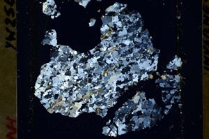 Cross Polarized, S48343