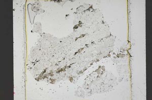 Plane Polarized, S48343