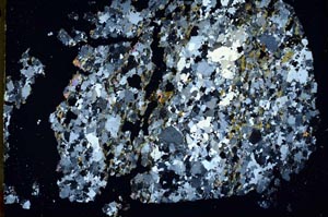 Cross Polarized, S48344