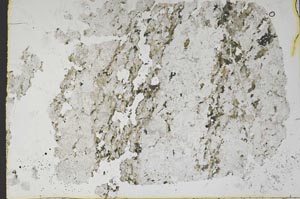 Plane Polarized, S48344