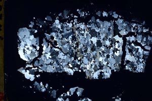 Cross Polarized, S48345