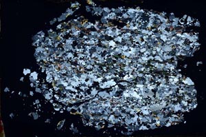 Cross Polarized, S48346