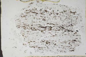 Plane Polarized, S48346