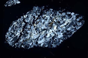 Cross Polarized, S48347