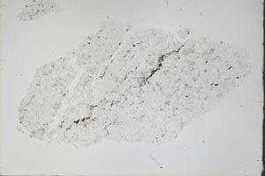 Plane Polarized, S48347