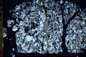 Cross Polarized, S48348