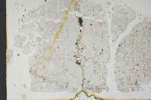 Plane Polarized, S48348