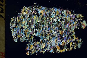 Cross Polarized, S48349