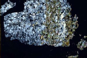 Cross Polarized, S48350