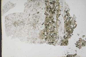 Plane Polarized, S48350