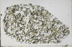 Plane Polarized, S48351