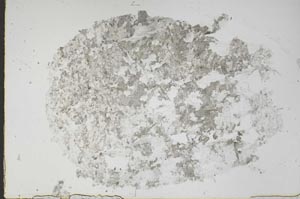Plane Polarized, S48354
