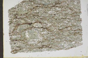 Plane Polarized, S48396