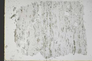 Plane Polarized, S48399