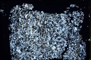 Cross Polarized, S48416