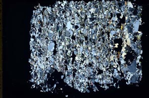 Cross Polarized, S48417