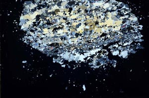 Cross Polarized, S48419