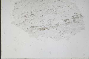 Plane Polarized, S48419