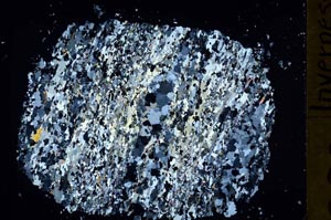 Cross Polarized, S48420