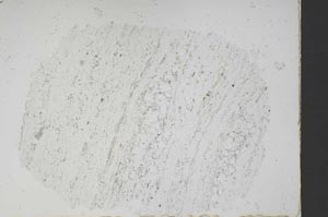 Plane Polarized, S48420