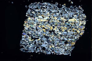 Cross Polarized, S48422