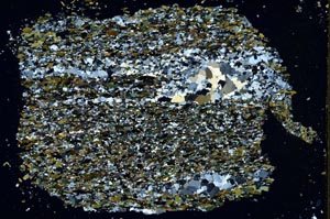 Cross Polarized, S48424