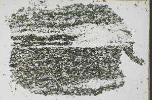 Plane Polarized, S48424