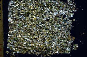 Cross Polarized, S48425