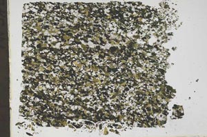 Plane Polarized, S48425