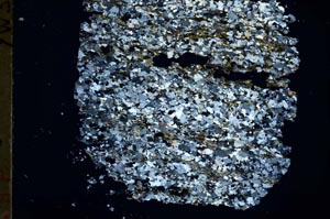 Cross Polarized, S48427