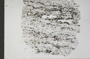 Plane Polarized, S48427