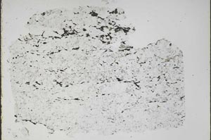 Plane Polarized, S48430