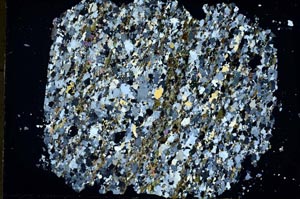 Cross Polarized, S48431