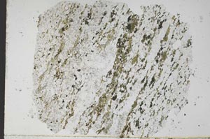 Plane Polarized, S48431