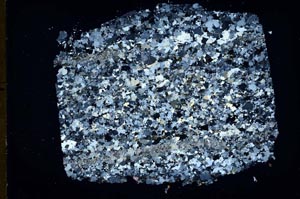 Cross Polarized, S48432