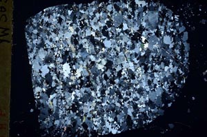 Cross Polarized, S48439