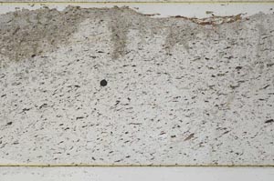 Plane Polarized, S48454