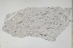 Plane Polarized, S48456