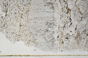 Plane Polarized, S48467