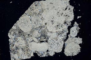 Cross Polarized, S48480