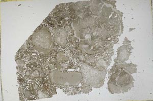 Plane Polarized, S48480