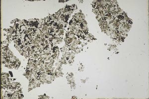 Plane Polarized, S48482