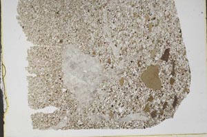 Plane Polarized, S48562