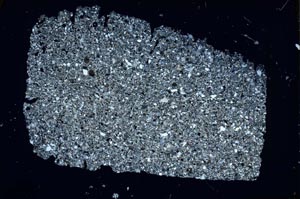 Cross Polarized, S48569