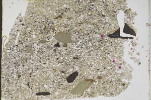 Plane Polarized, S48574