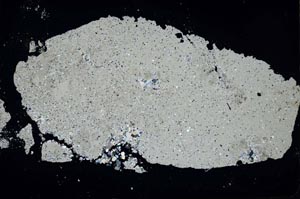 Cross Polarized, S48586